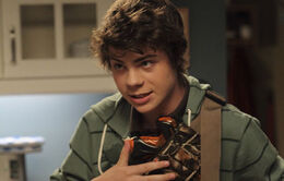 Benny full 1 474x302