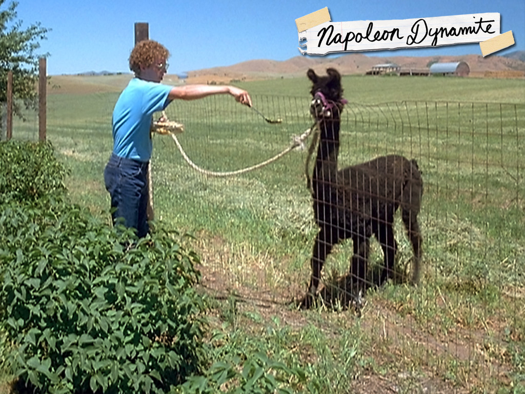 Tina | Napoleon Dynamite Wiki | FANDOM powered by Wikia