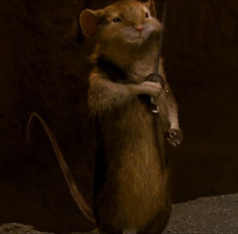File:Reepicheep06.jpg