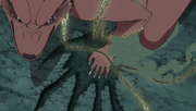 Kurama disminucion de tamaño