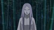 Kaguya young.png