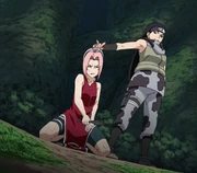 Kin captura Sakura.png