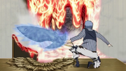 Hiramekarei unbandaged.png