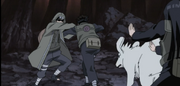 Kiba, Akamaru e Hinata atacam Shino