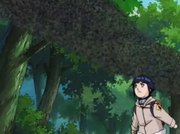 Hinata localiza os inimigos.png