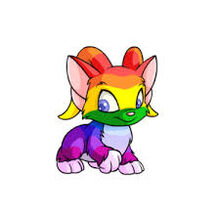 Acara rainbow.jpg