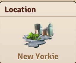 bread yorkie new yorkie bread kittens wiki fandom powered by wikia bread yorkie new yorkie bread kittens wiki fandom powered by wikia