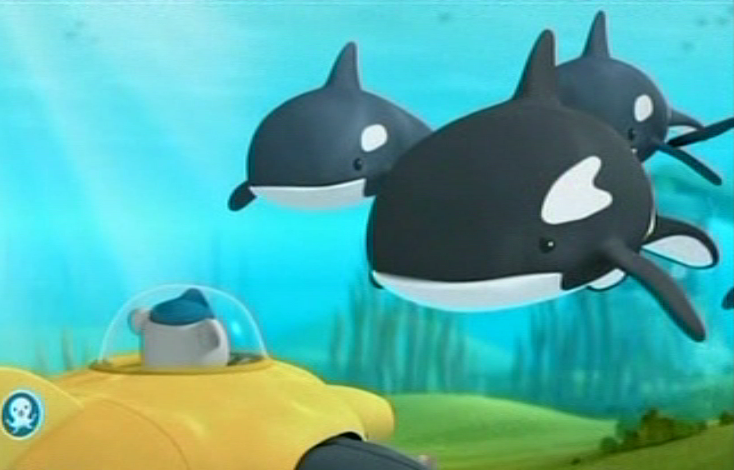 octonauts orcas wikia