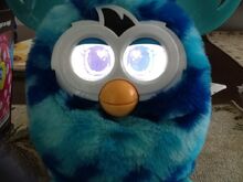 Furby boom
