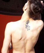 Zayn-malik-newzealand-fantail-bird-tattoo-400x482