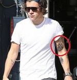 Harry anatomical heart