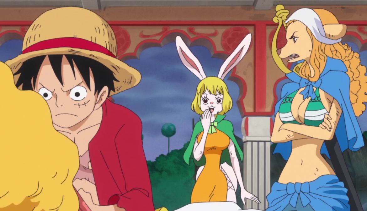 Image Carrot Excited at Luffy's Plan.png One Piece Wiki FANDOM