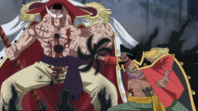 Teach vs Barbablanca.png