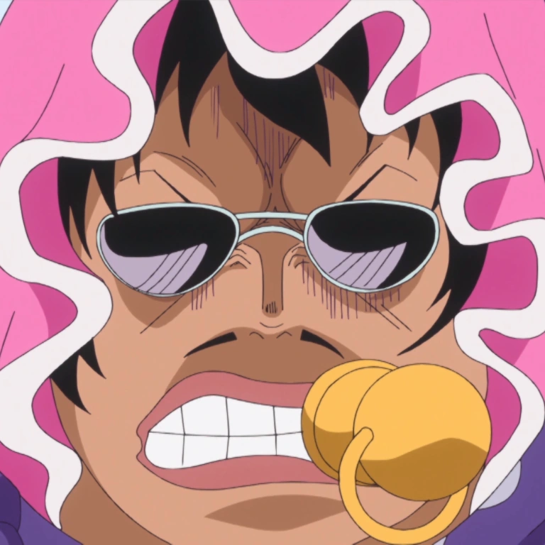 Piratas Donquixote One Piece Wiki Fandom powered by Wikia