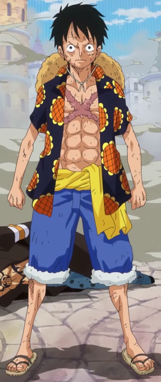 Monkey D. Luffy One Piece Encyclopédie Fandom powered by Wikia