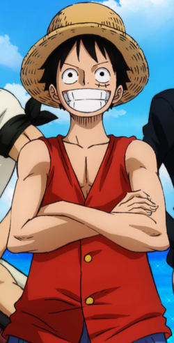 Becoming the Future King of the Pirates  The One Piece Podcast