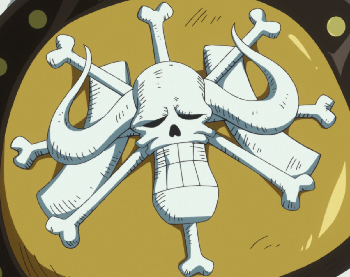 one piece portrait of pirates list