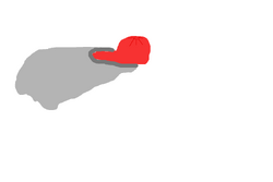 Pedra-timmy.png