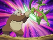 EP346 Slaking vs. Grovyle