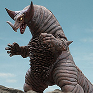 shf gomora