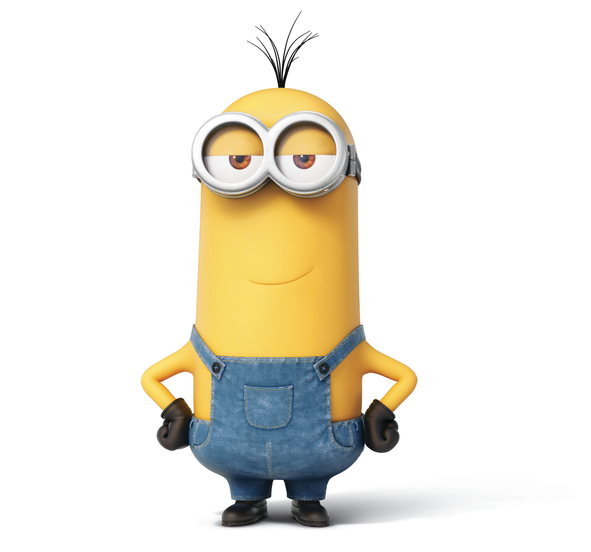 Image Kevin the minions 2015 3.jpg The Parody Wiki FANDOM powered