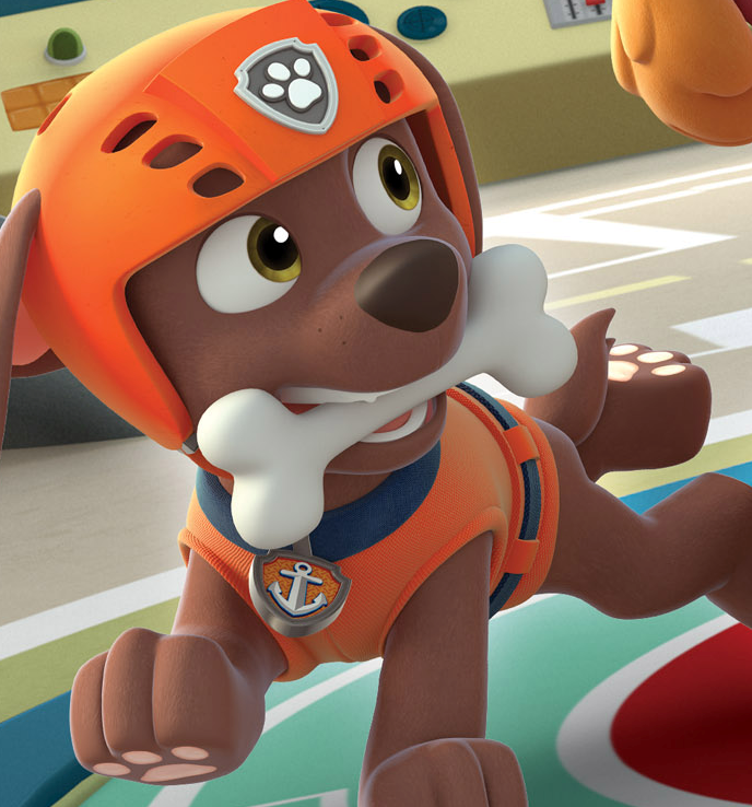 Zuma/Appearances | PAW Patrol Wiki | Fandom powered by Wikia