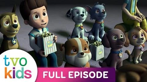 Video - PAW PATROL - Pups Save A Film Festival - Full Episode | PAW