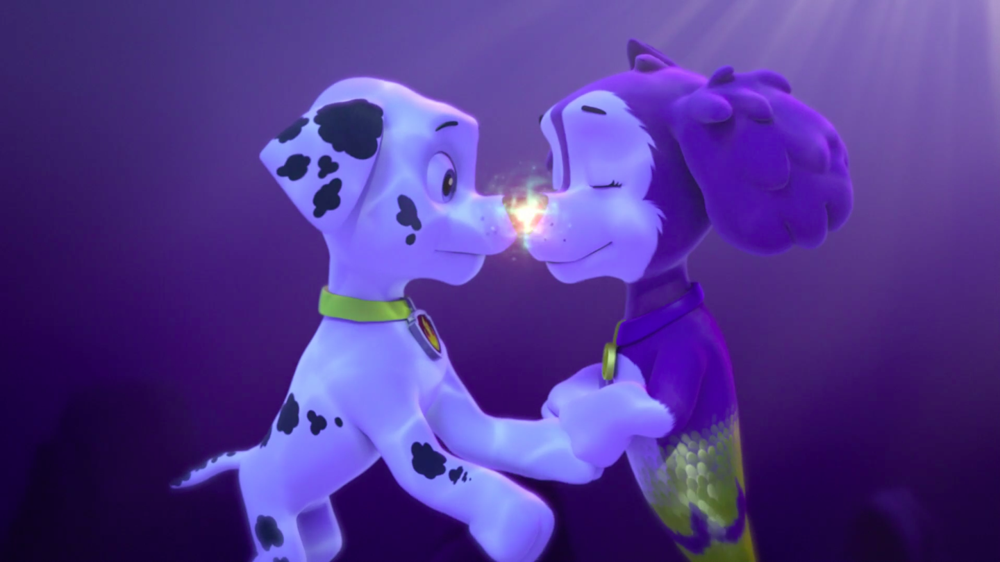 paw patrol zuma and skye paw patrol zuma and skye