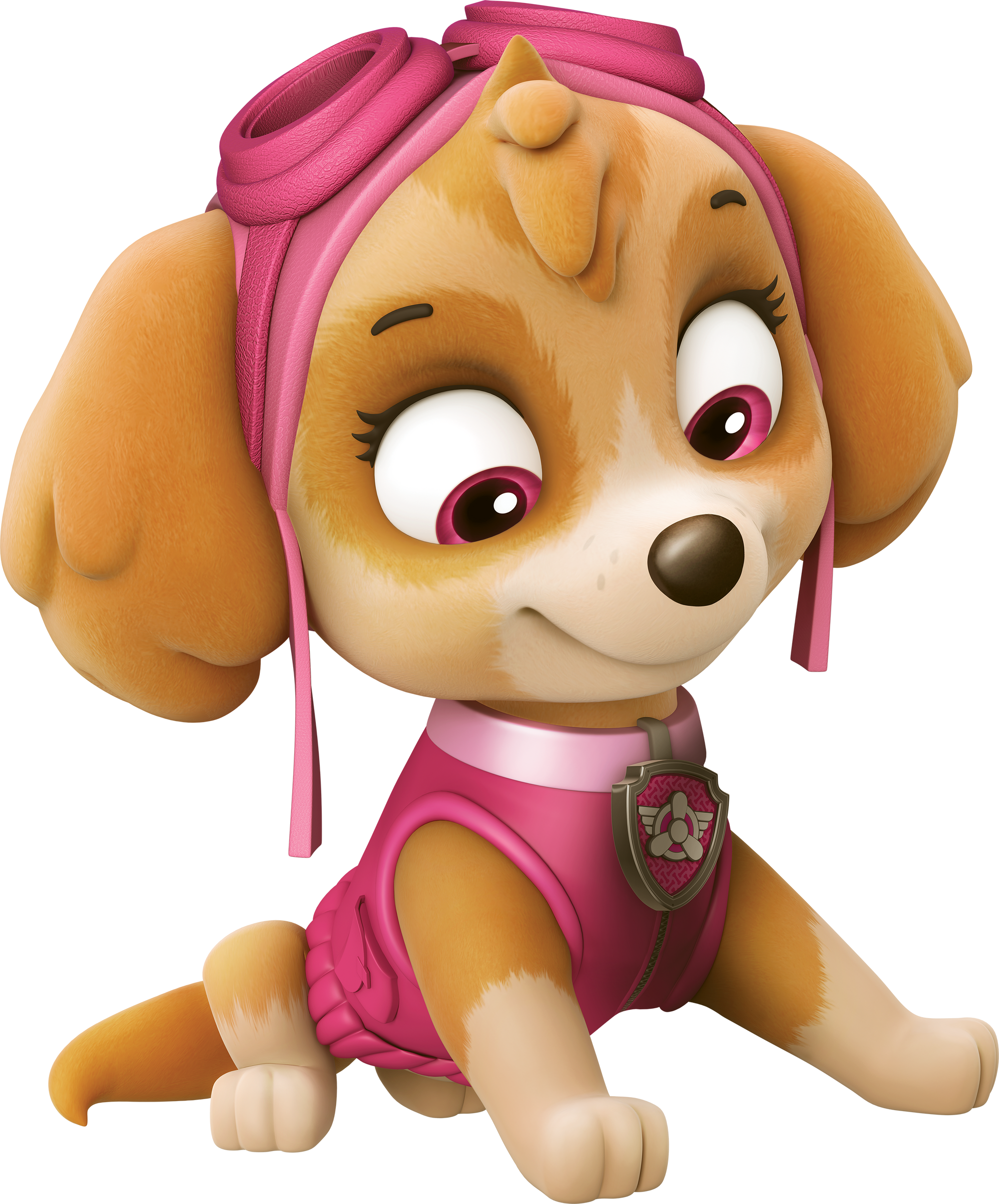 paw patrol bowl skye