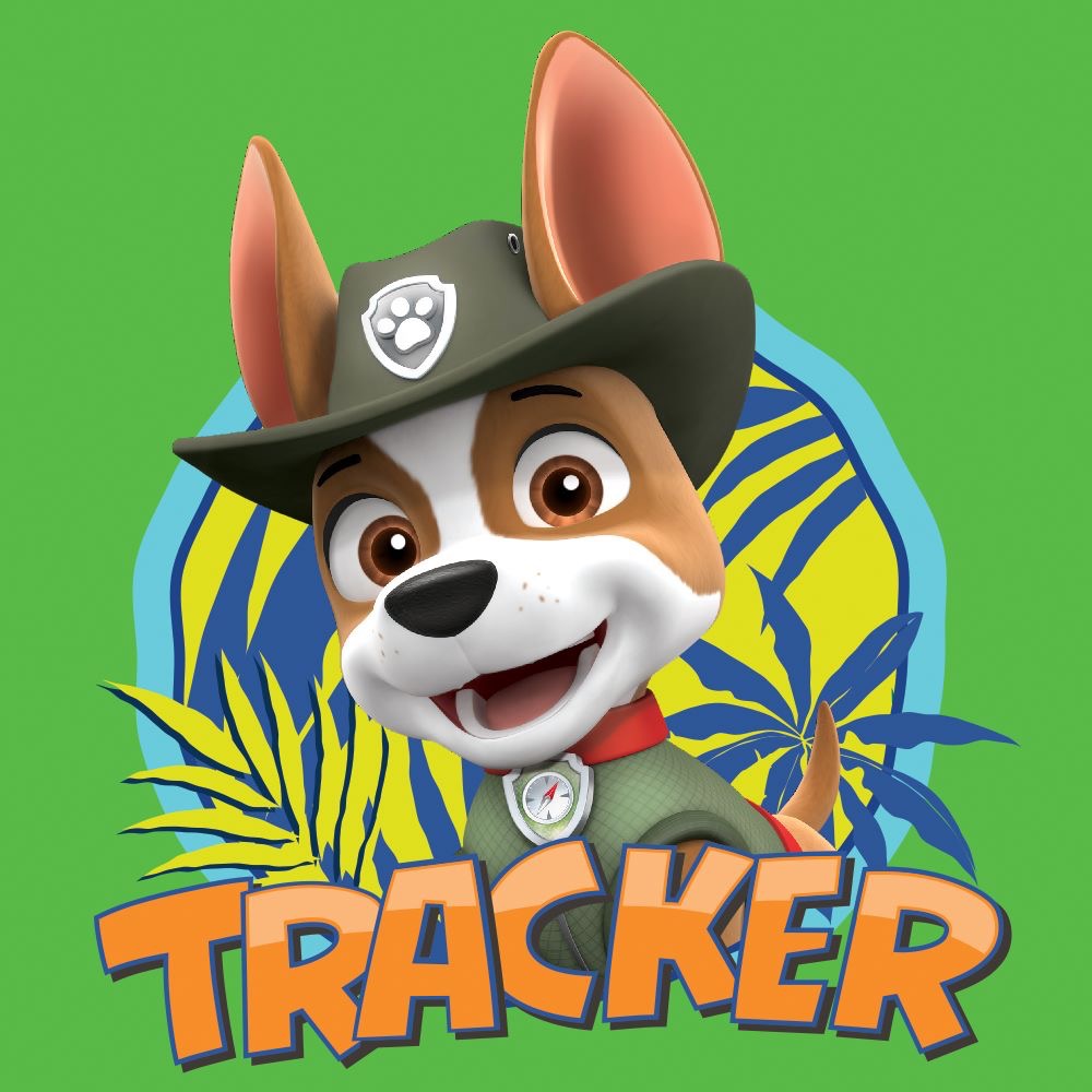 Výsledek obrázku pro paw patrol tracker