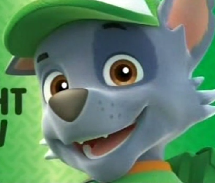 rocky pup paw patrol