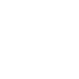 Armor-ballisticvest.png