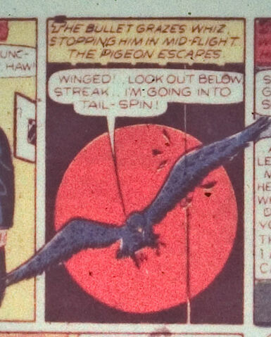 File:Falcon.jpg
