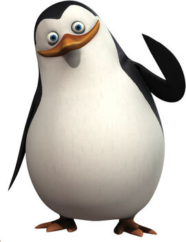 http://vignette3.wikia.nocookie.net/penguinsofmadagascar/images/e/e0/Private-the-penguin.jpg/revision/latest/scale-to-width-down/270?cb=20150708191028