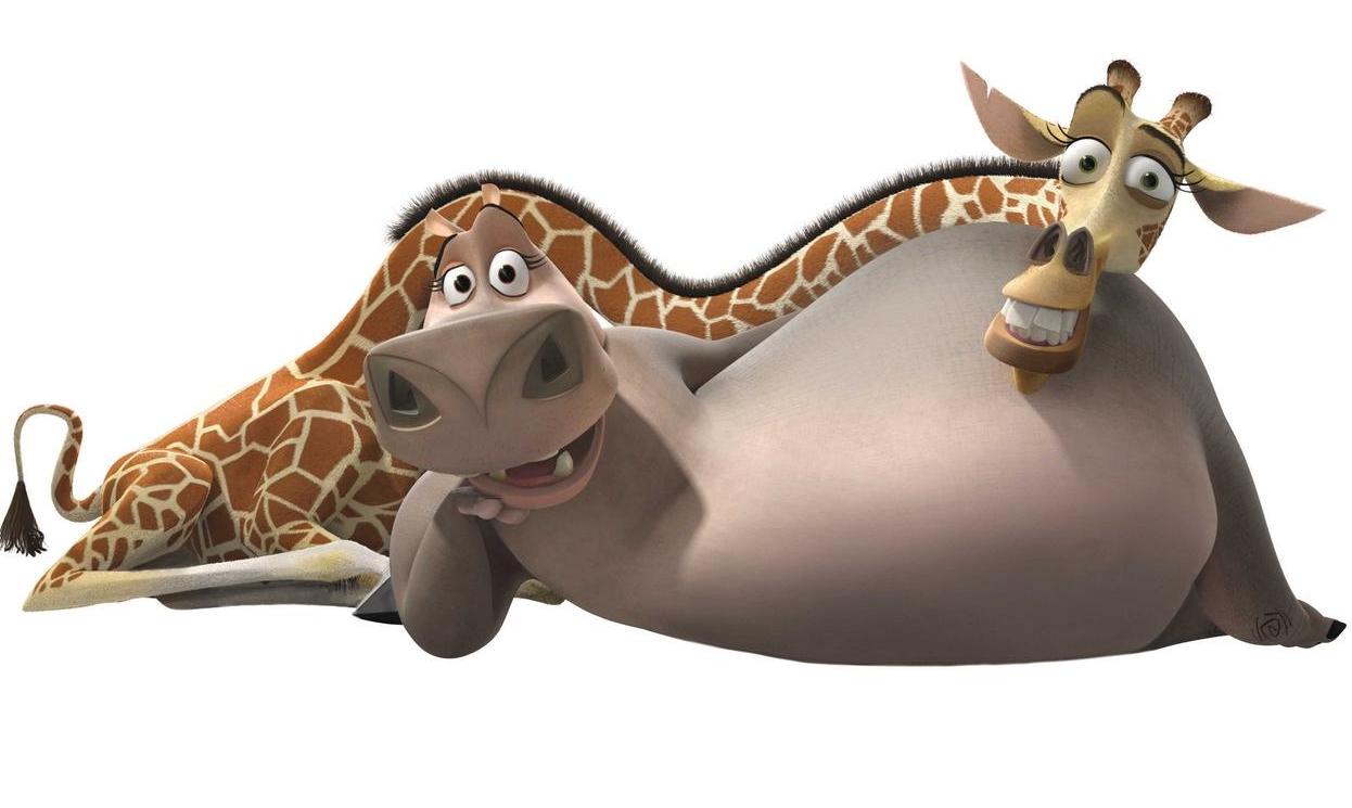 Image result for Melman and gloriamadagascar
