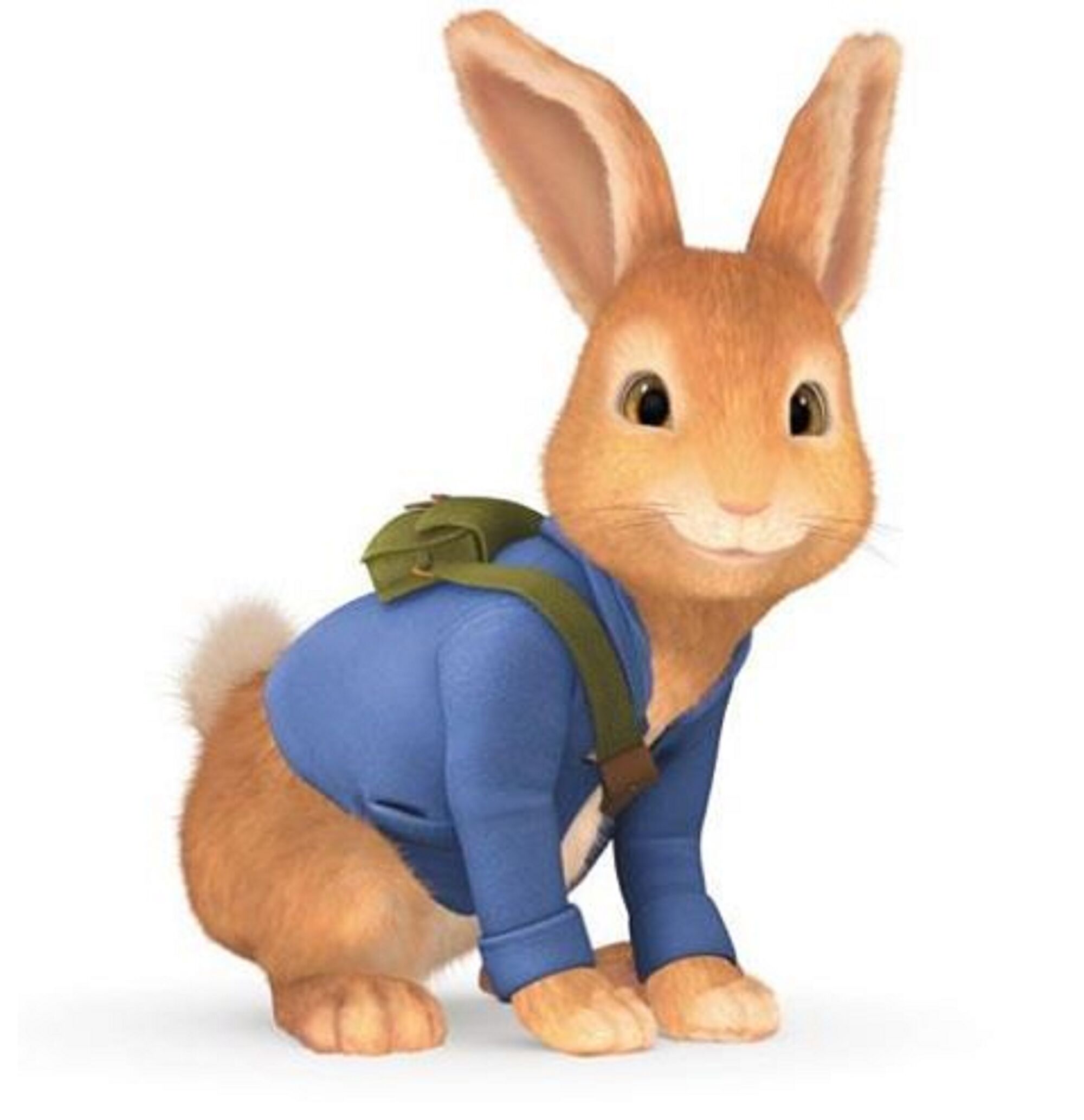 Image - .028 Peter & Zachary 28 24.jpg | Peter Rabbit (TV series) Wiki