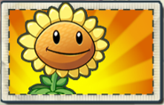 Sonnenblume Pflanzen gegen Zombies Wiki Fandom powered by Wikia