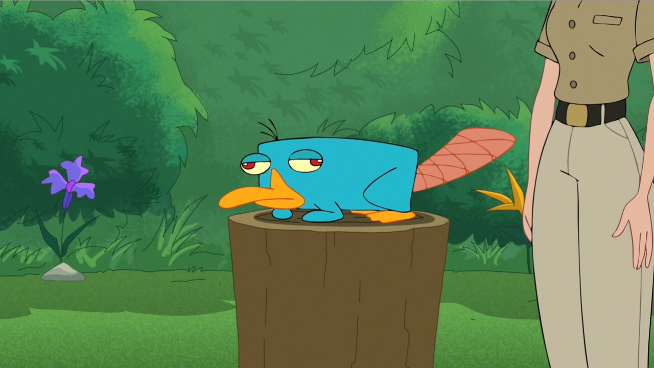 Platypus | Phineas and Ferb Wiki | FANDOM powered by Wikia