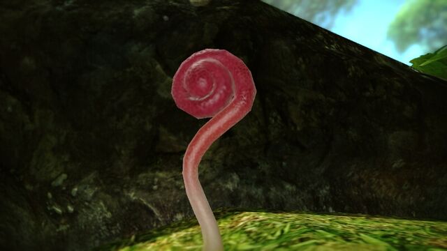 File:Flukeweed.jpeg