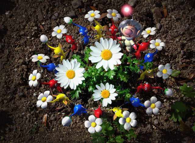 File:Pikmin flower dance.jpg