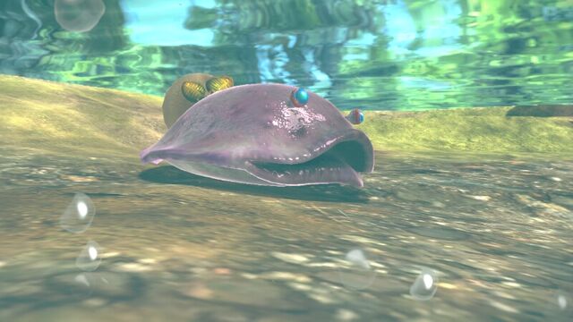 File:ToadyBloyster-Pikmin3.jpg