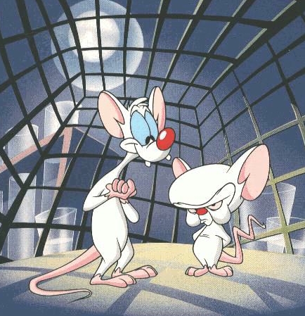 Pinky and the brain