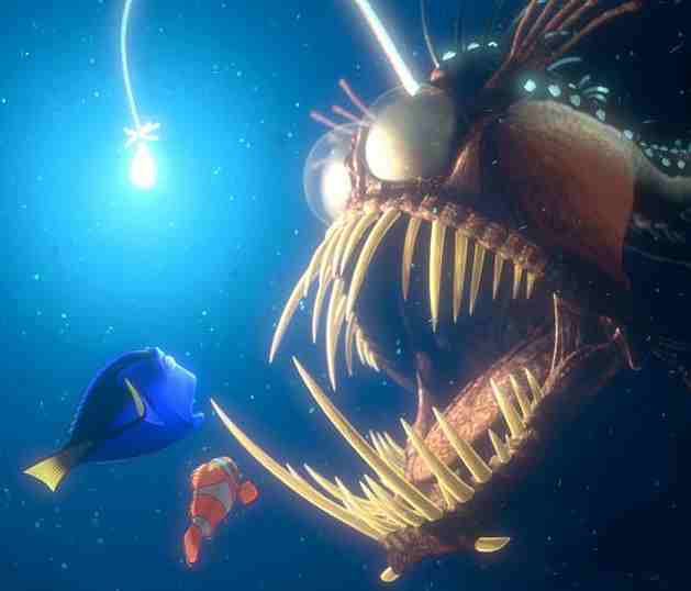 image gallery: nemo angler fish