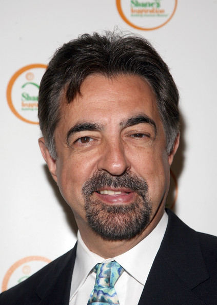 Joe Mantegna earned a 0.13 million dollar salary, leaving the net worth at 18 million in 2017