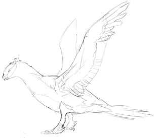 Latias e Latios schizzo