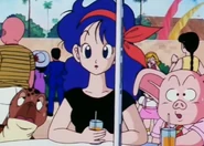 Umigame, Lunch and Wulong