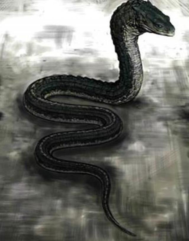 http://vignette3.wikia.nocookie.net/powerlisting/images/3/3f/Basilisk_snake.jpg/revision/latest?cb=20130721052835