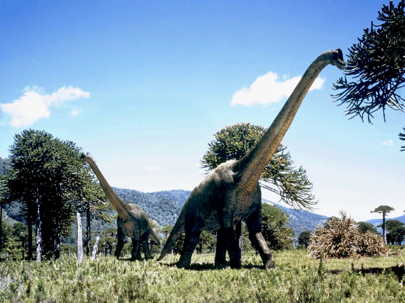 Brachiosaurus | Prehistoric Wiki | Fandom Powered By Wikia