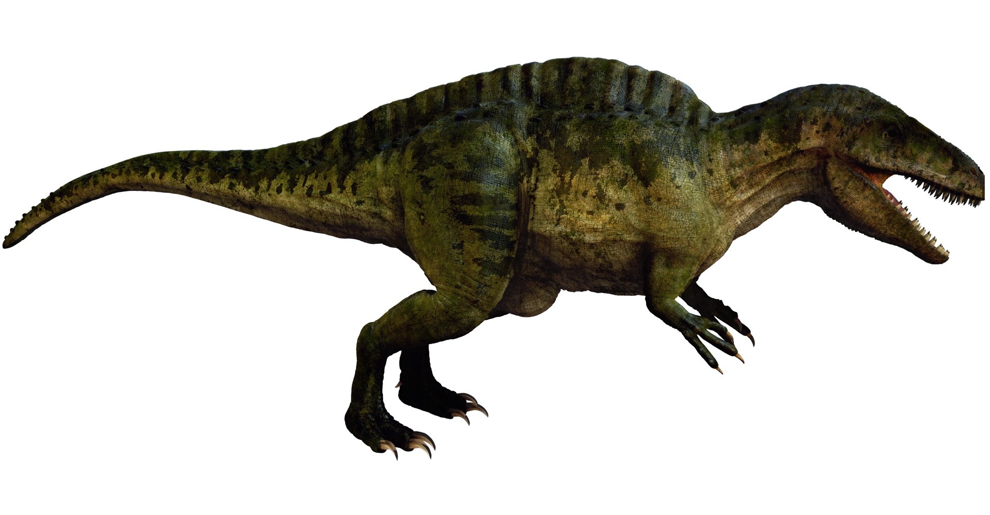 jwe acrocanthosaurus