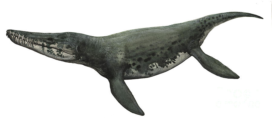 Resultado de imagen para kronosaurus